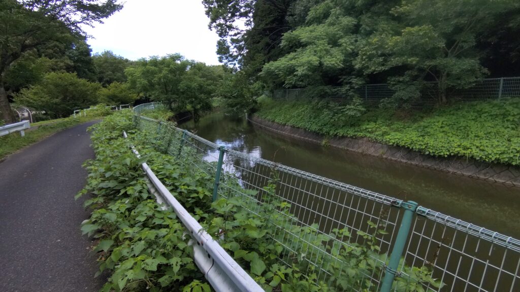 「さぎ山記念公園」と隔てている、見沼通線堀
